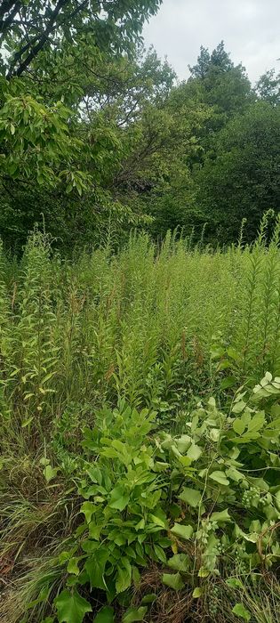 Дом по адресу ул. Таджицька (площадь 20 м²) - Atlanta.ua - фото 5