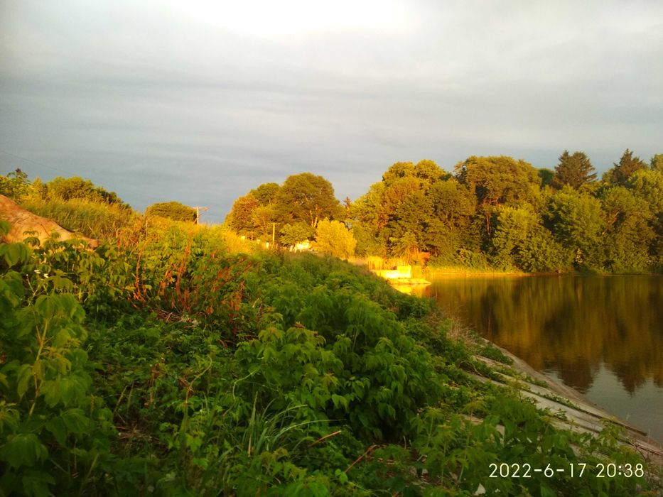 Продаю козине молоко, козяче молоко, козье молоко