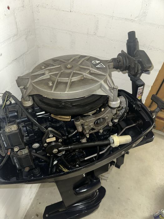 Evinrude 25 /30 1999 рік.