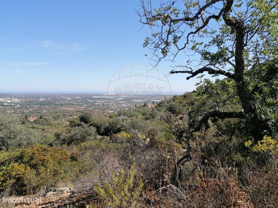 Terreno  para venda