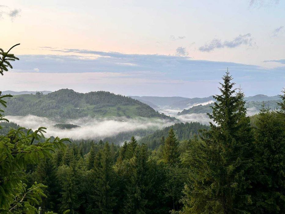 Будинок із Брусу 64 кв. с.Буковець (ів фр) + 14 сот.Краєвид.Заповідник