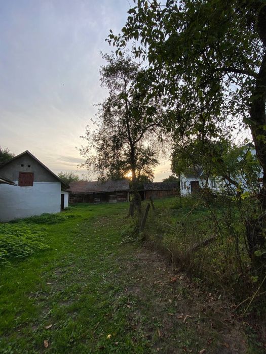 Будинок з земельною ділянкою