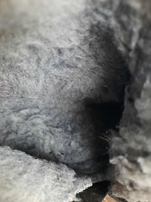 Чоботи,сапоги кожаные,синие