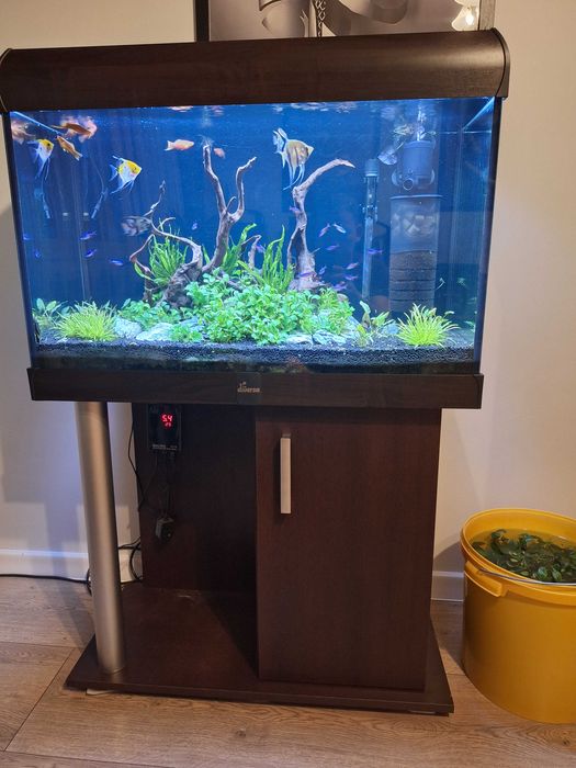 Akwarium+szafka+pokrywa+niezbędne dodatki