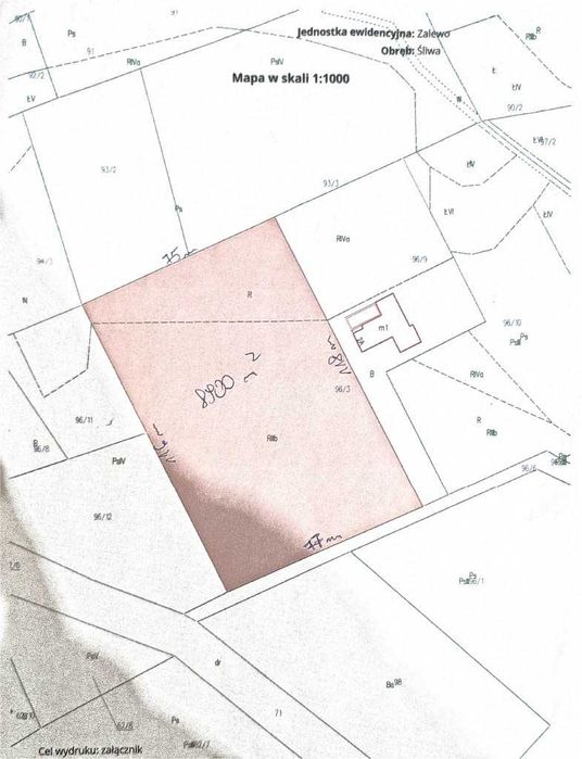 Duża działka 0,89 ha z warunkami zabudowy - Śliwa, gm. Zalewo