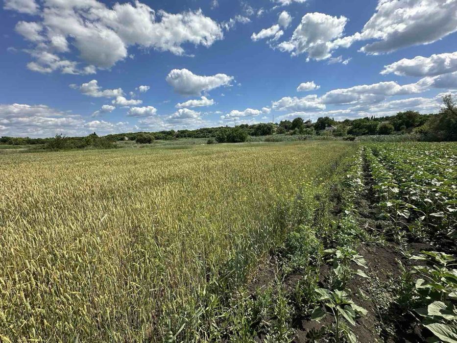 Продам приміщення с.Голубівка