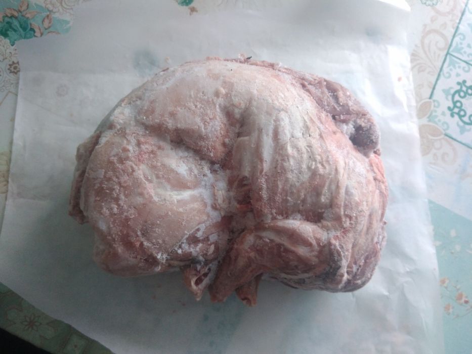 Świeży królik ekologiczny duży tuszka