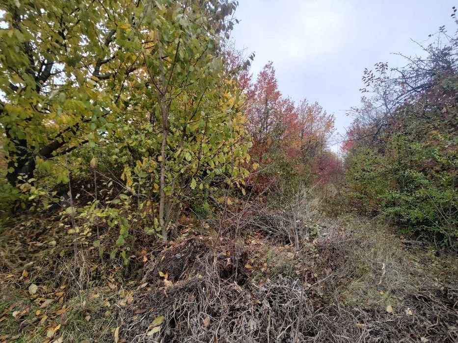 Продається земельна ділянка для забудови в передмісті