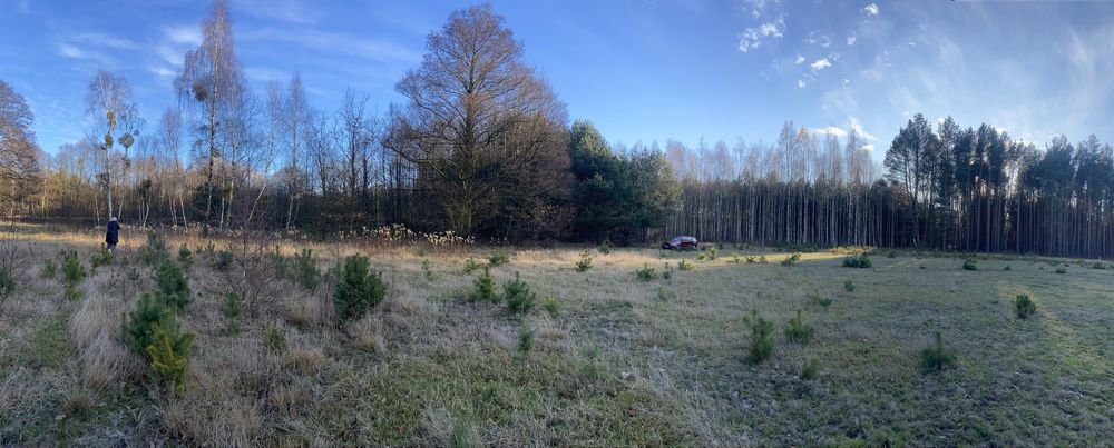 Działka 1,81 ha | Olszynki, gm. Młodzieszyn, pow. sochaczewski Warunki zabudowy | las | cisza | SLOW LIFE - Widok 2