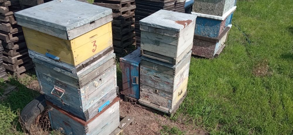 Вулики паливоди 8 рамок. Вулики рут 10 рамок