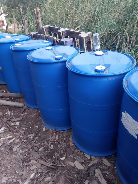 Vendo barricas de 220L