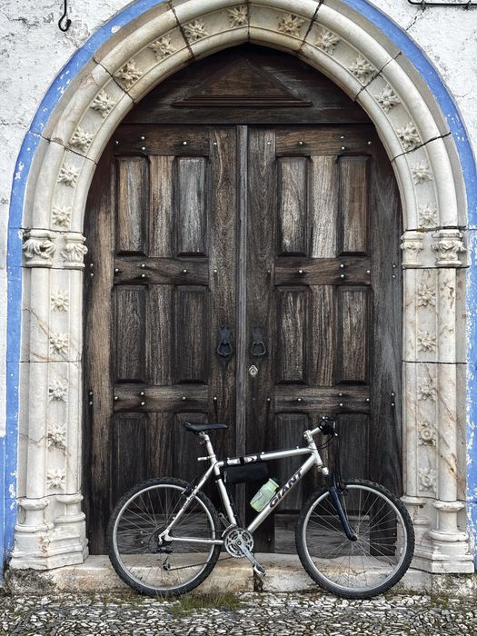 Bicicleta classica de BTT dos 90s - Giant Terrago