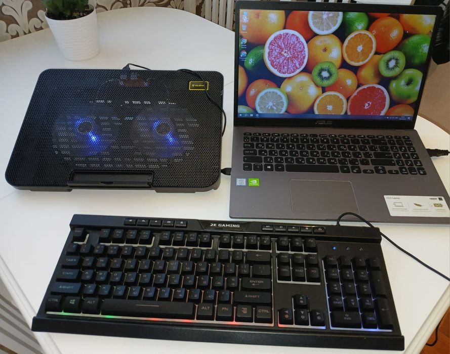 Ноутбук asus F509U