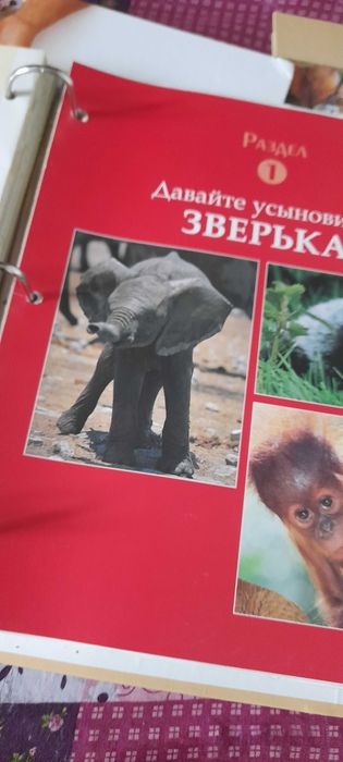 Енциклопедія  Животные нашей планеты"