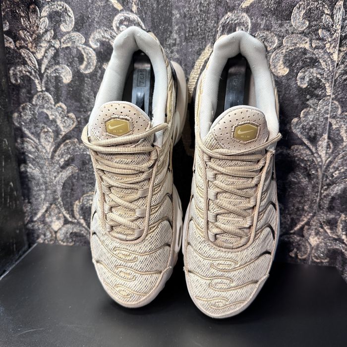 Кроссовки Nike TN Air Max Plus Light Bone Stussy 95 Tailwind