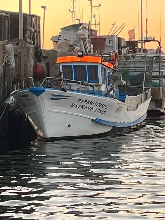 Embarcação de pesca profissional