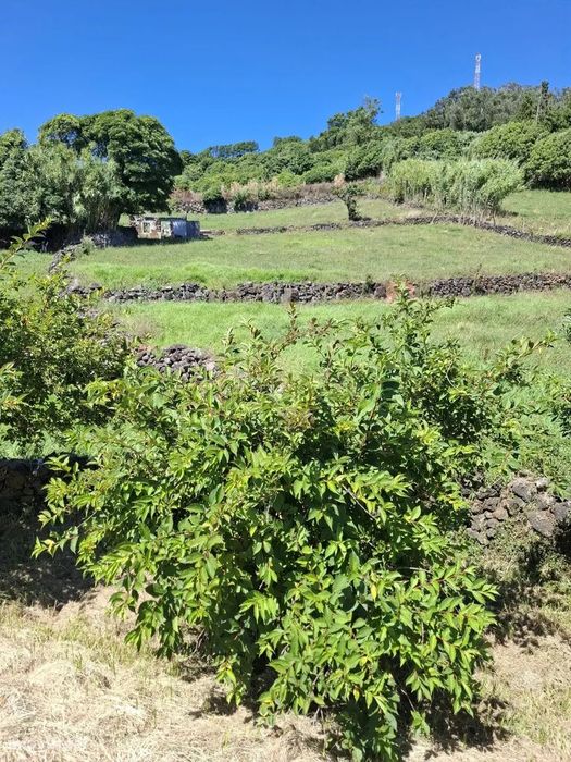 Terreno com 5081 metros quadrados em Vila de São Sebastião, Angra do H