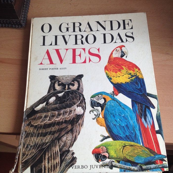 Vários livros infantis
