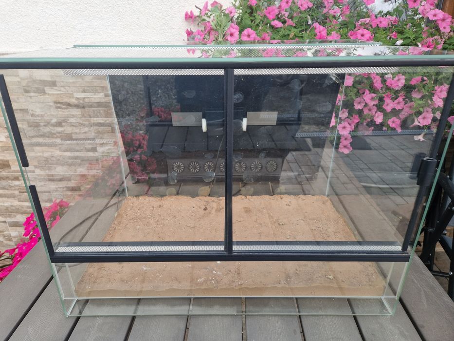 Terarium szklane
