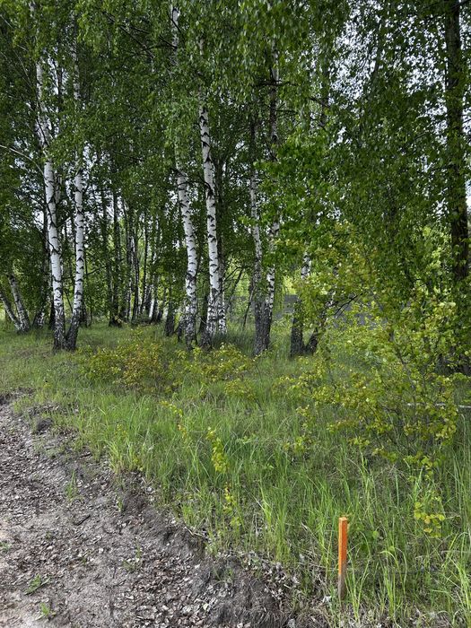 Działka budowlana na sprzedaż