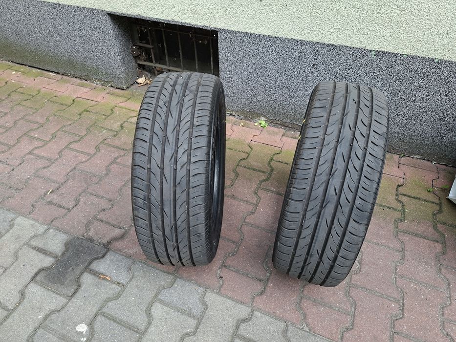 Platin RP 420 Summer 195/55R16 87V 2 sztuki