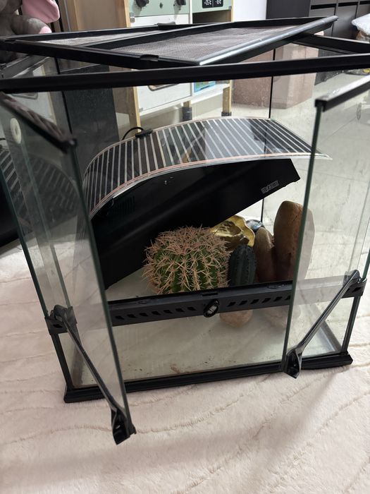 Terrário de Vidro
