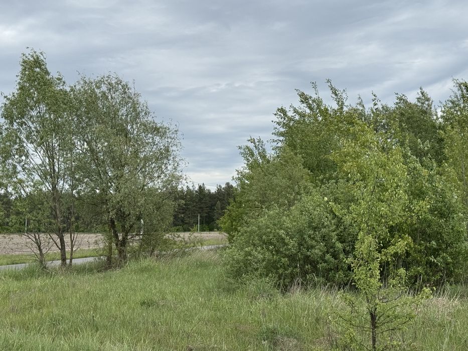 Земельна ділянка 1,5 га!!! Пилиповичі