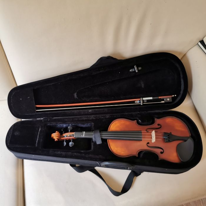 Violino startonex