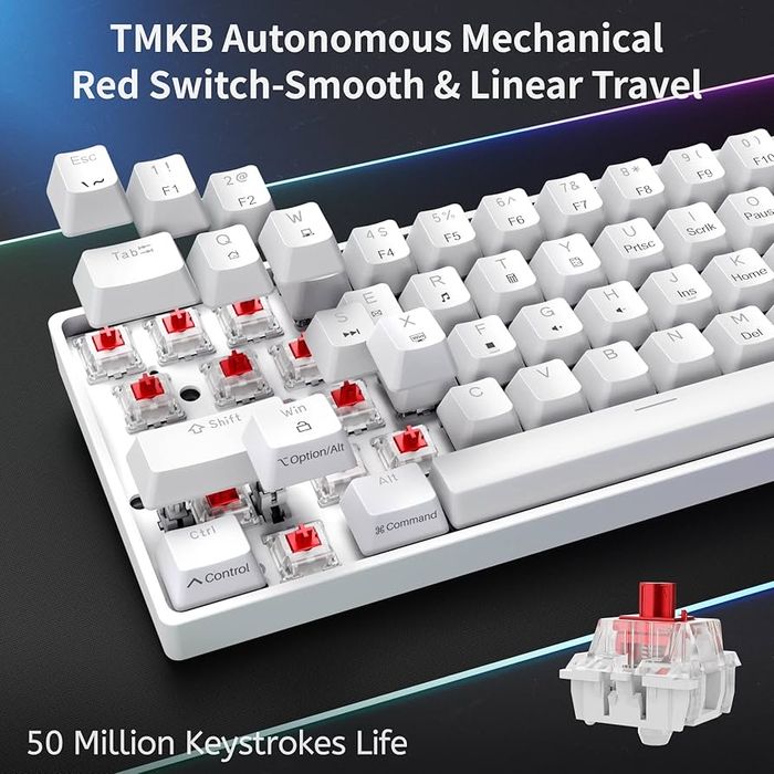 Teclado mecanico DIERYA DK61SE