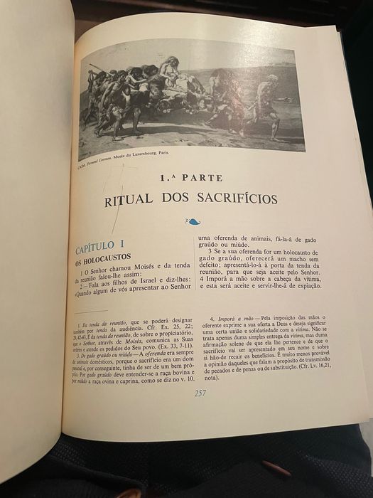 Biblia ilustrada 7 tomos_dix