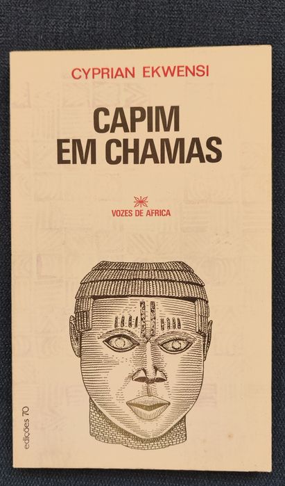 Livro Capim em chamas