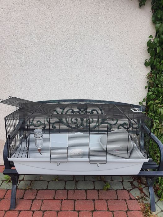Króliki baranek miniaturka  mini lop , Cena CAŁKOWITA.