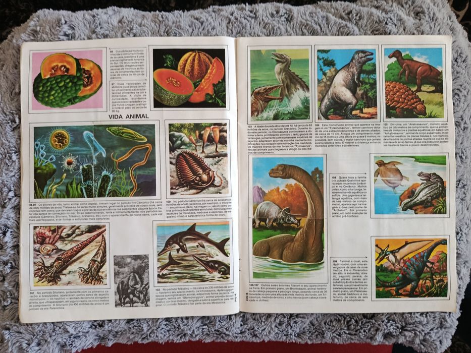 Caderneta de cromos CIÊNCIAS  (Completa)