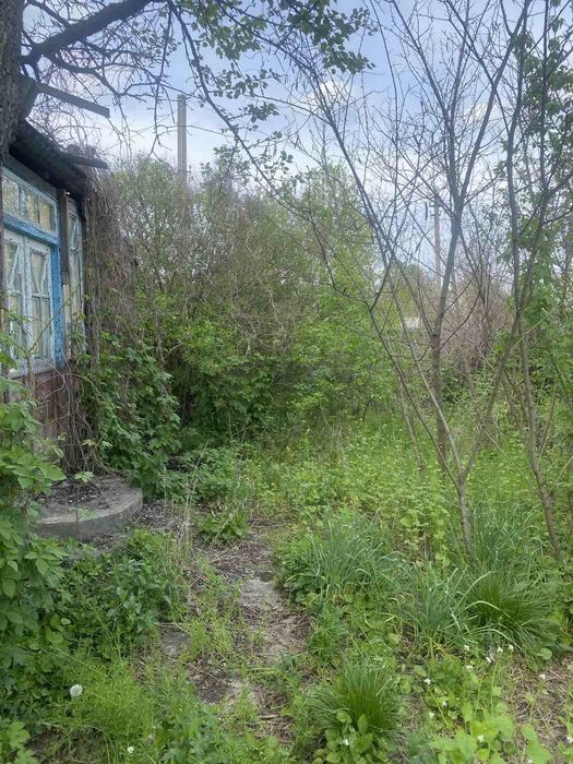 Перспективна  ділянка  Мошни, є документи на будинок