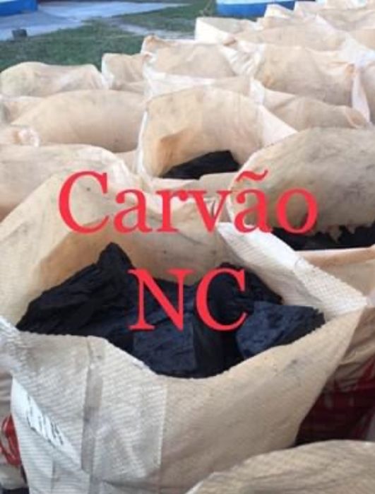 Carvão vegetal sobro