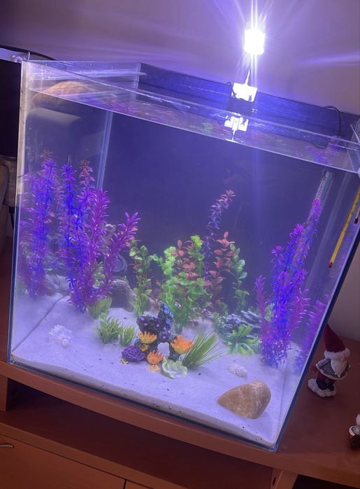 Aquario cubo 50x50x50