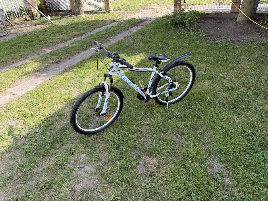 Rower Kross LEA F1