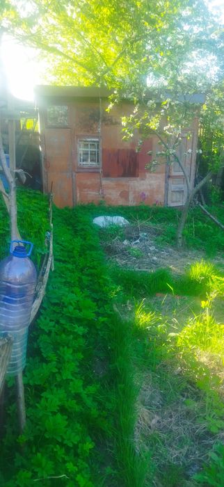 Куточок природи у місті