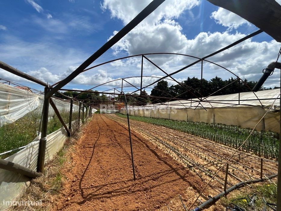 2 Terrenos com estufas - Pardielas, Ferreira do Zêzere