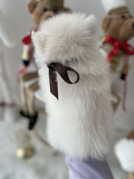 Померанські шпіци — Гарантовано закохаєтесь з першого погляду