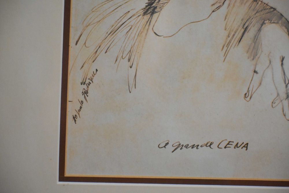 Desenho José Rodrigues