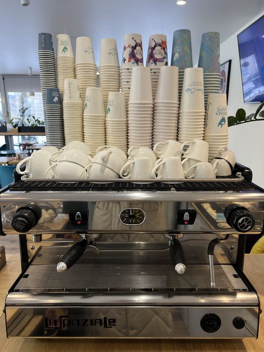 Професійна кавомашина Special 2GR EP La Spaziale.