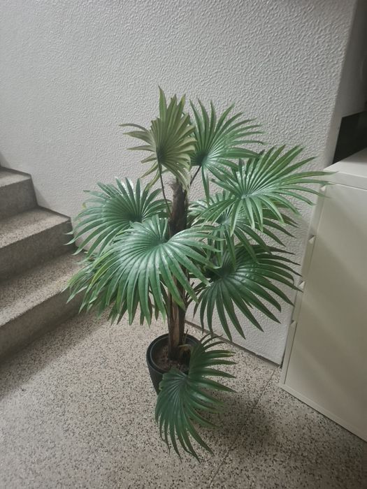 Planta artificial  verde area