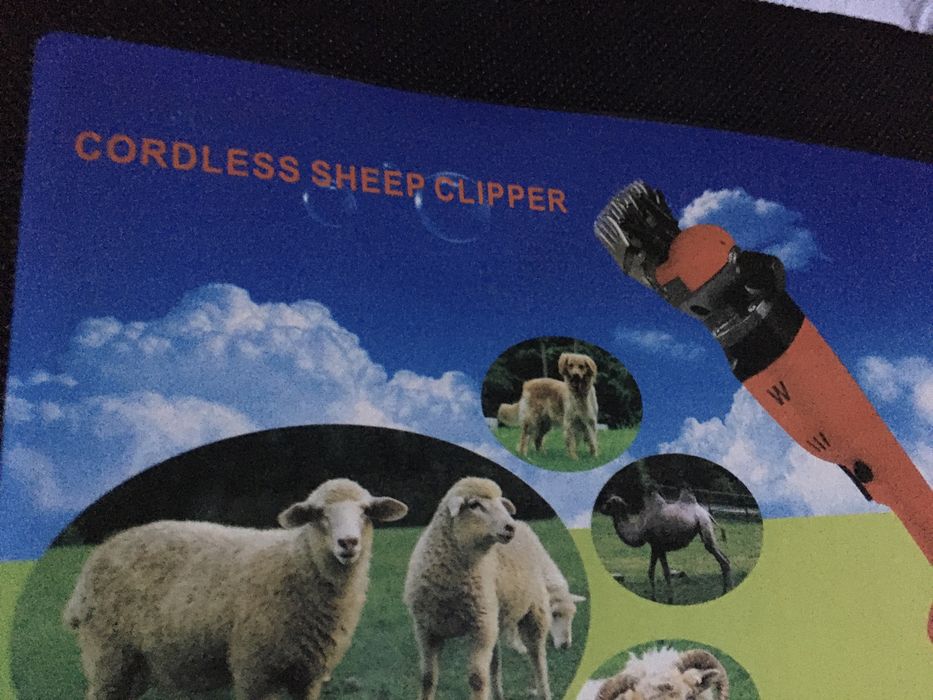 Máquina tosquia Ovelhas com Bateria