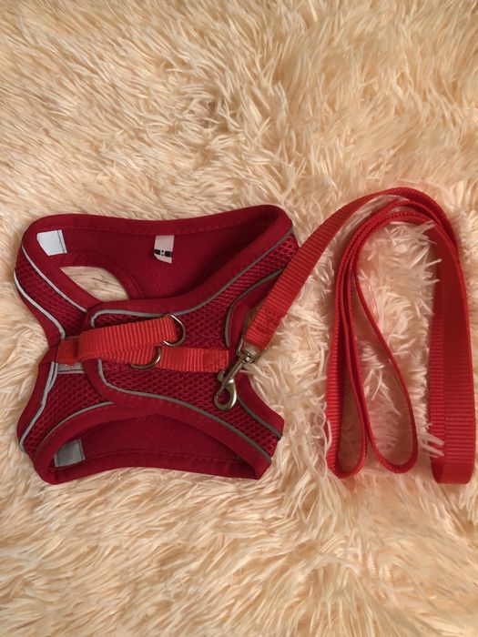 Шлейка с поводком, размер М
