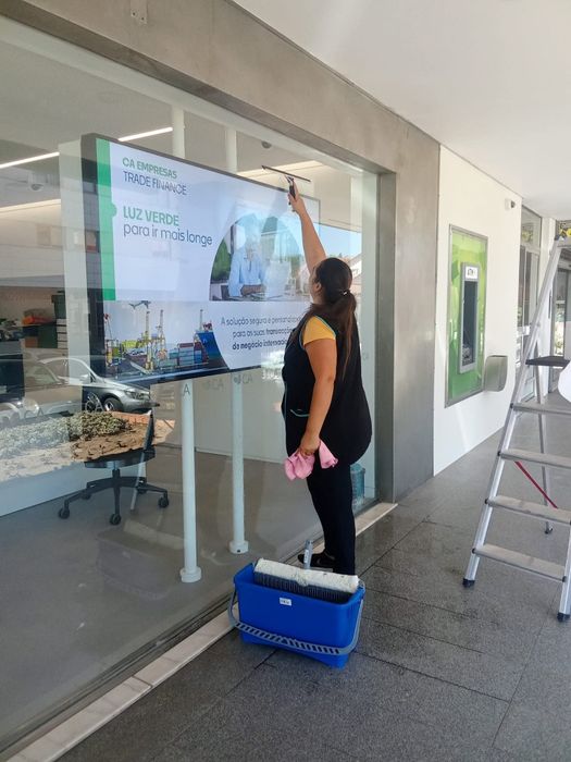 Limpezas profissionais