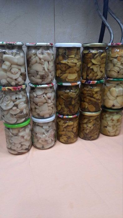 Гриби мариновані масляти польські білі