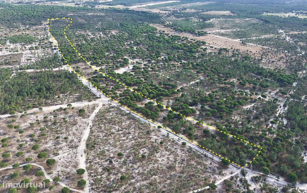 Terreno agrícola em Grândola