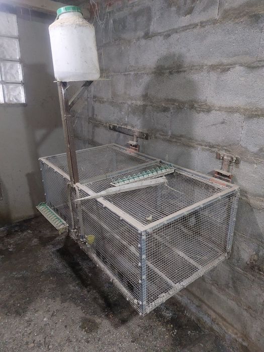 Gaiolas para codornizes
