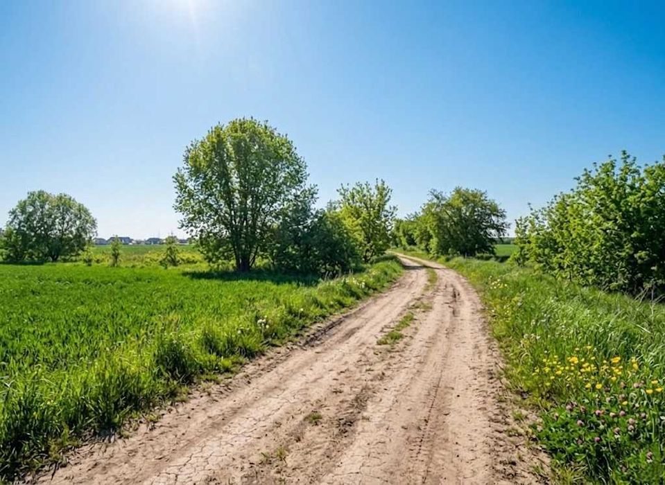 Продаж земельної ділянки 10 соток - ОСГ. Біля лісу. с.Оліївка. ID:747